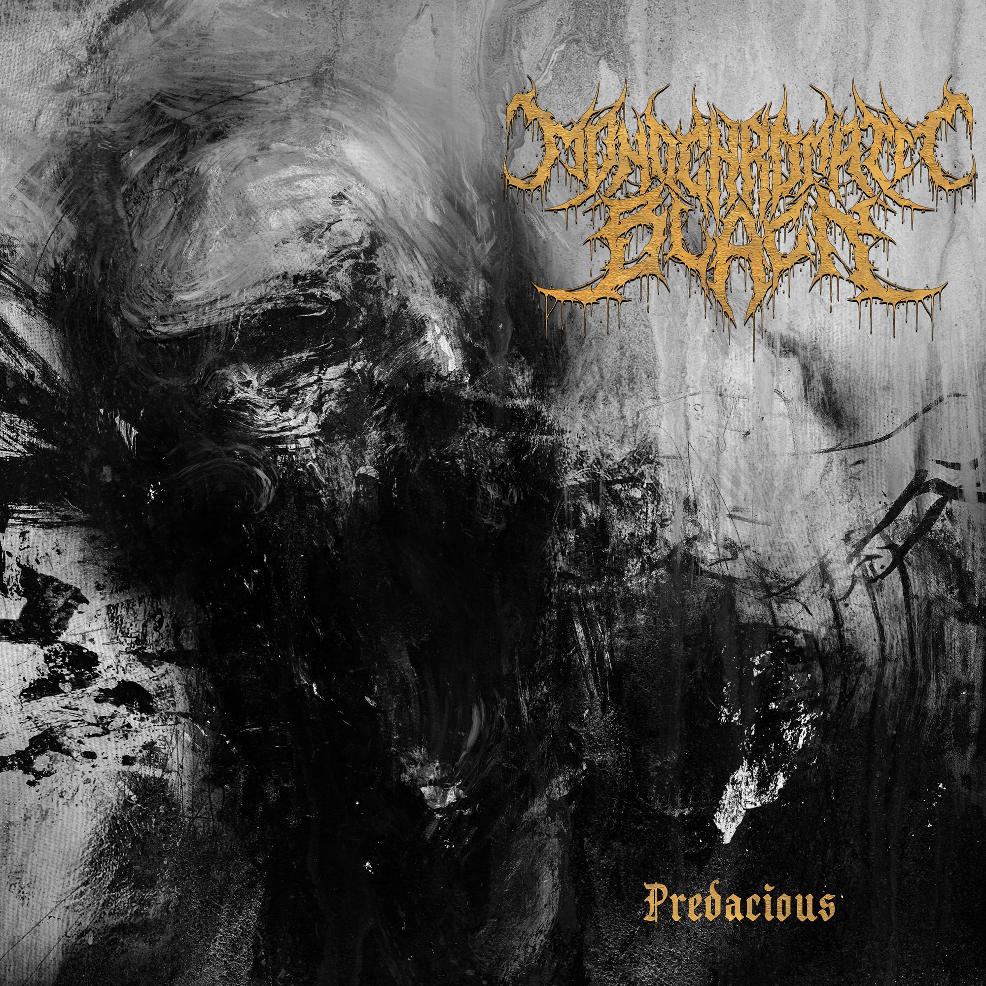 Lp Vulvodynia Entabeni Monochrome デスコア mqdefault.jpg